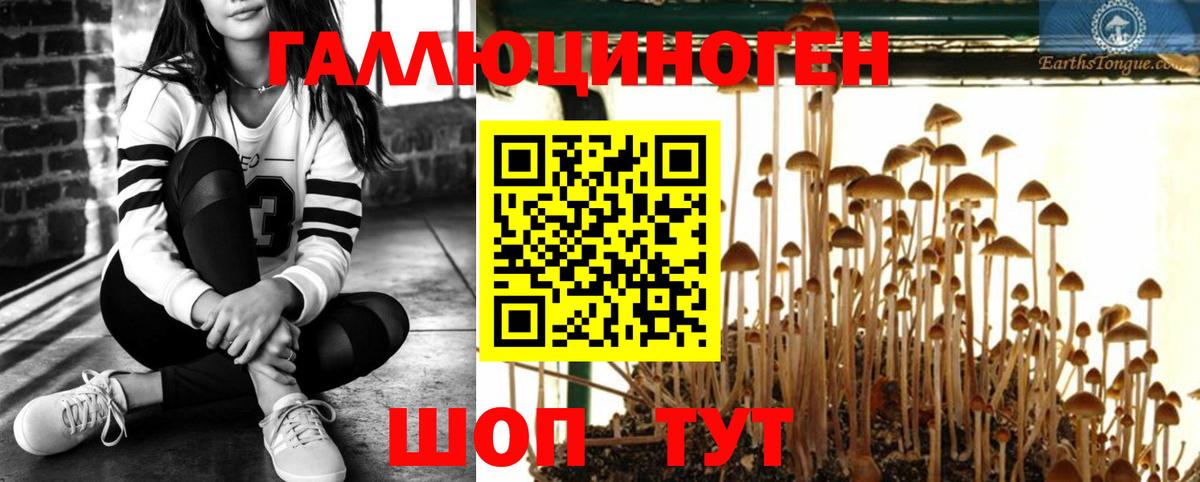 Псилоцибиновые грибы MAGIC MUSHROOMS  Вход с VPN  Галлюциногенные грибы Magic Shrooms  Норильск 